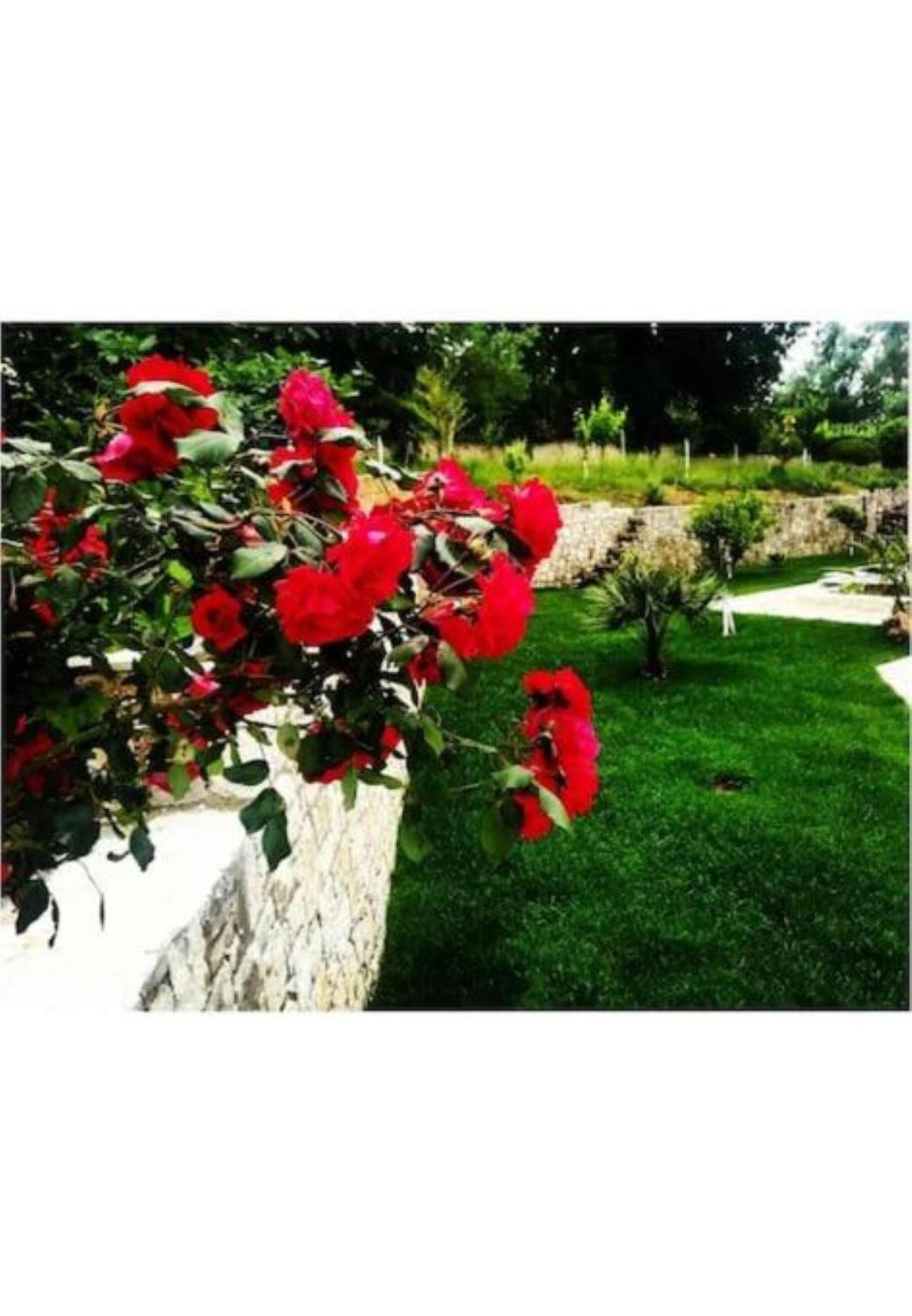 Petra House Villa Áno Korakiána Екстериор снимка